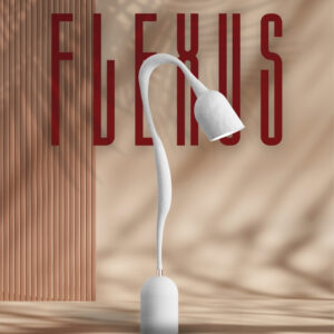 Flexus Floorlamp