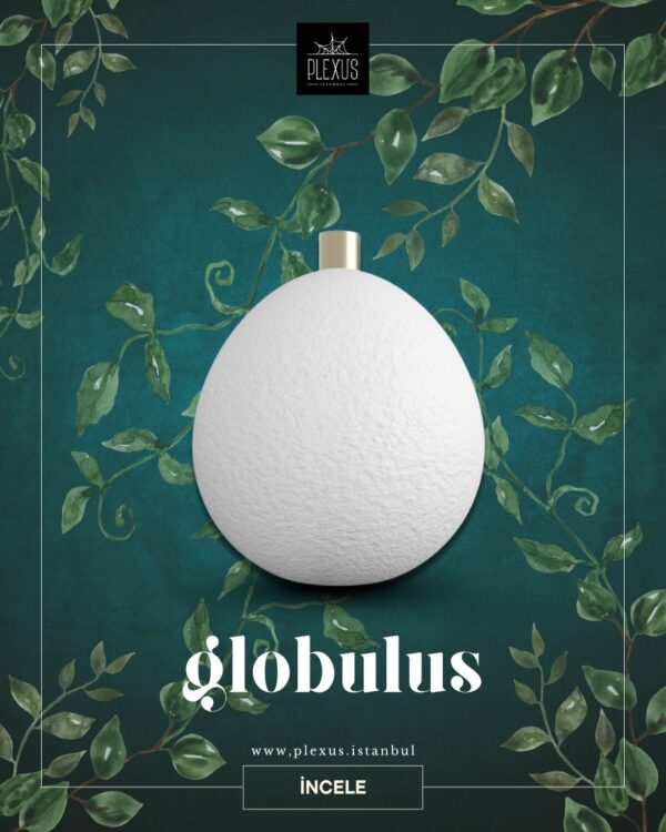 Globulus