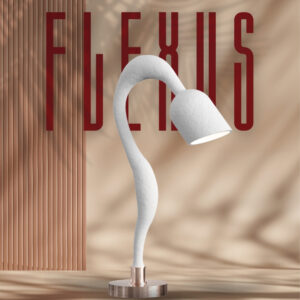 Flexus